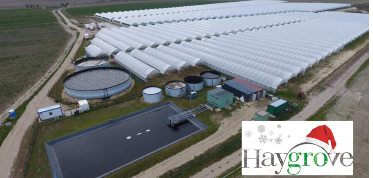 Haygrove пропонує функціональні рішення систем вирощування на наступний рік
